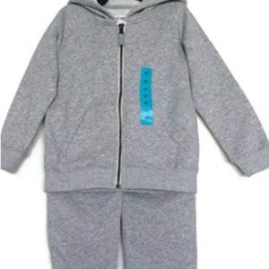 Carter's 2-pc Kids Hoodie & Pant Set (4T, Grey)